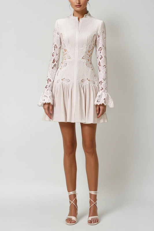 Ellalabel Caesarius Embroidered Ruch Lace Mini Dress - Crafted from Intricate Lace Fabrication- Best for Cocktail Parties and Night Out.