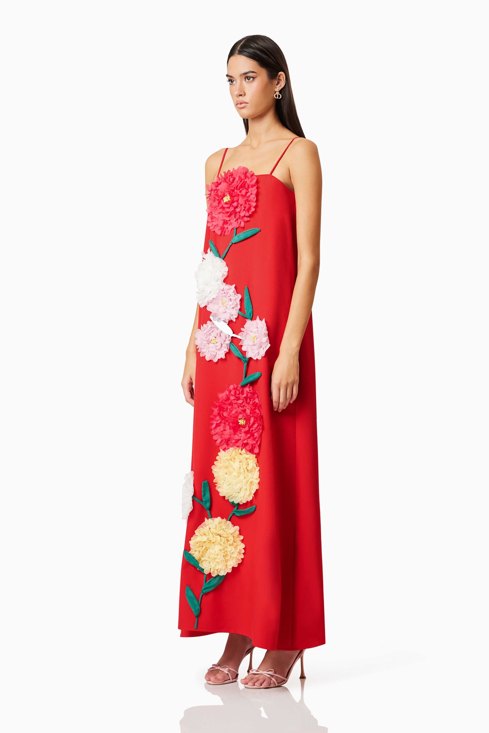 aaliyah Buttercup Embroidered Maxi Dress In Red