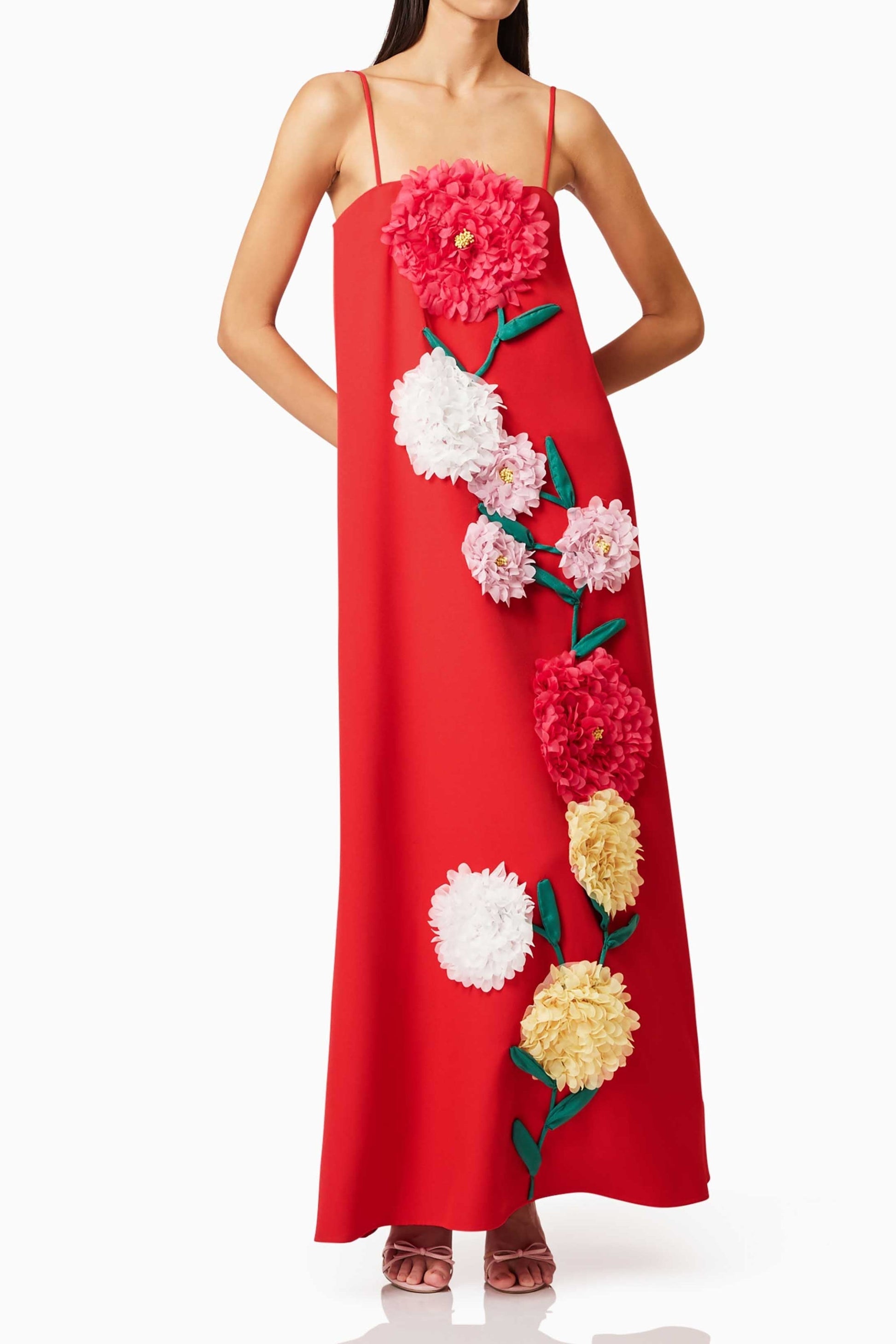 aaliyah Buttercup Embroidered Maxi Dress In Red