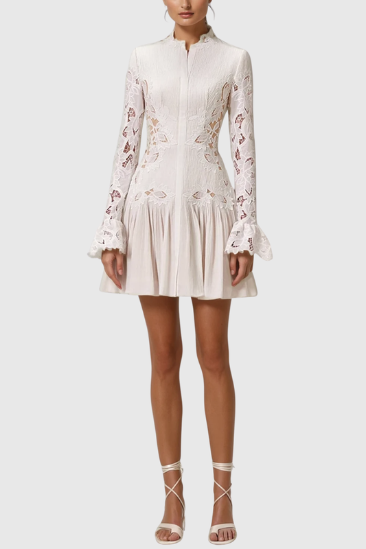 Ellalabel Nabby Embroidered Pleated Mini Shirt Dress - Crafted from High-quality Fabrication- Best for Cocktail Parties and Night Out.