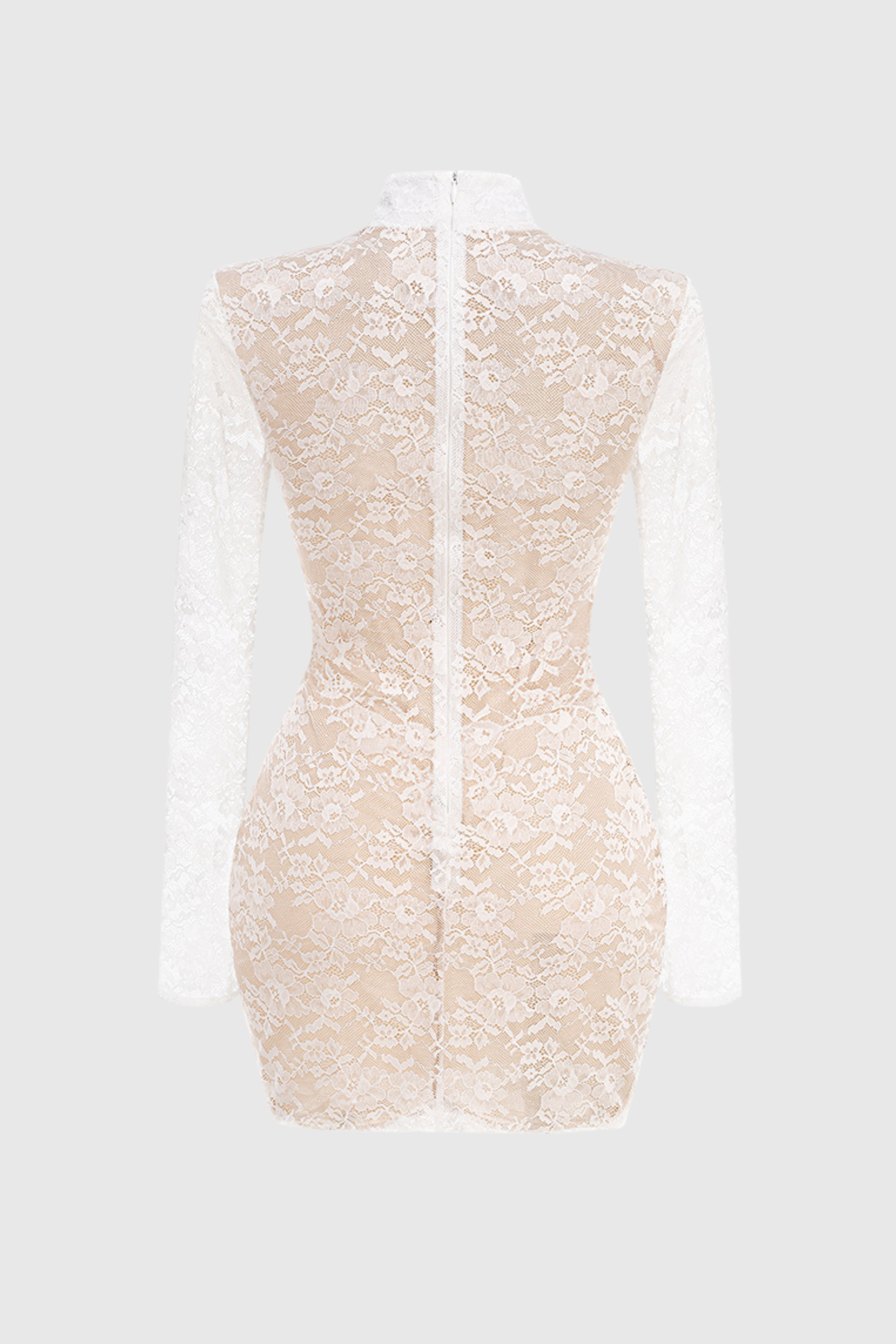 Seaba Lace Corset Mini Dress