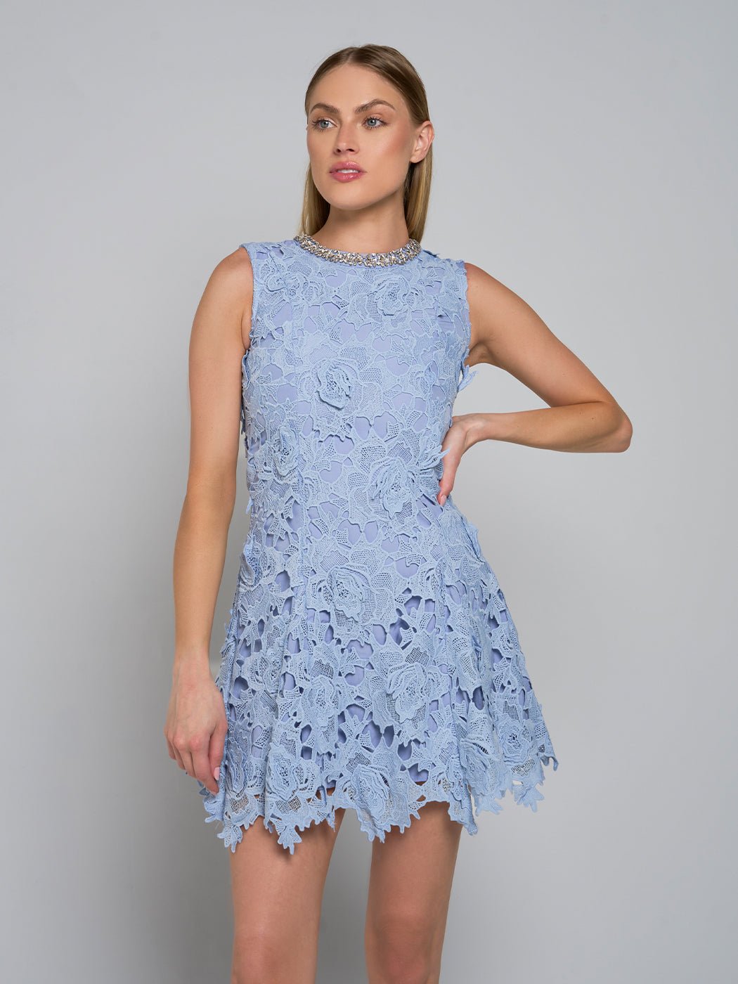 Camille Asymmetric Lace Mini Dress