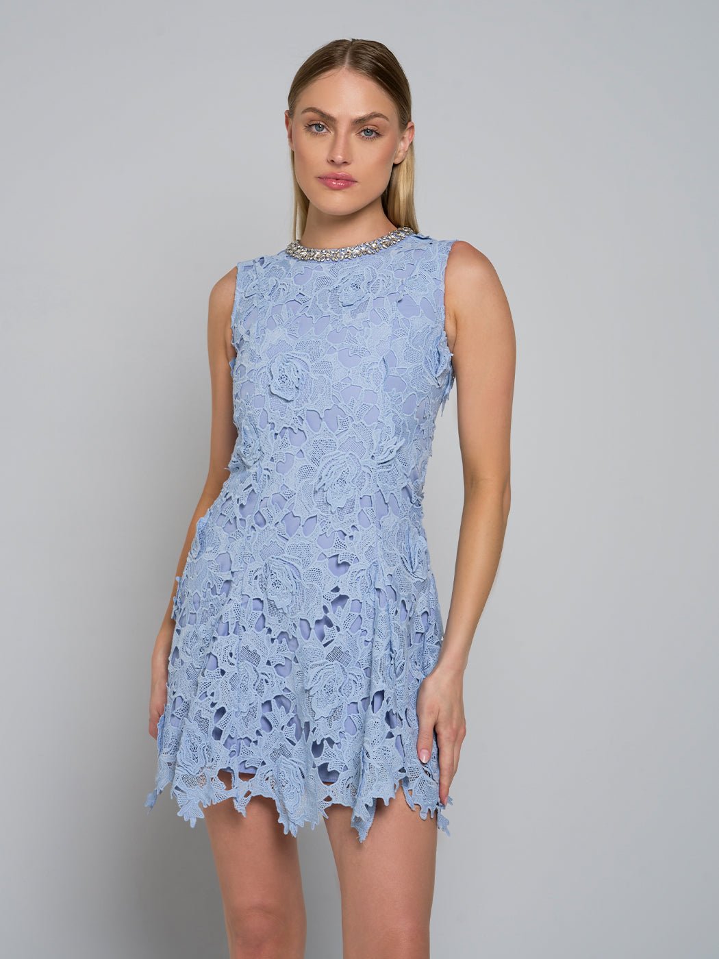 Camille Asymmetric Lace Mini Dress